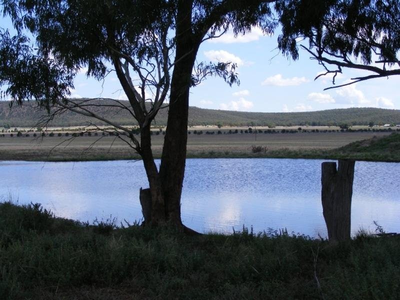- N/ A Barellan Road Colinroobie Via, Narrandera NSW 2700