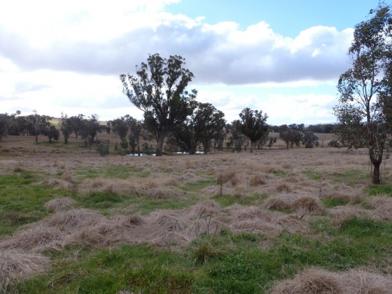 121 Bennett Springs Road, Cowra NSW 2794