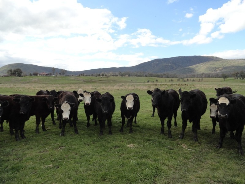 Brownes Lane, Rosewhite VIC 3737