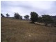- Grabine Road, Bigga NSW 2583