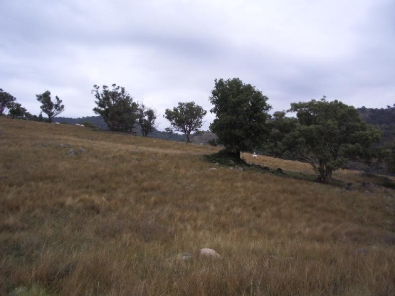 - Grabine Road, Bigga NSW 2583