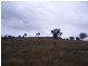 - Grabine Road, Bigga NSW 2583