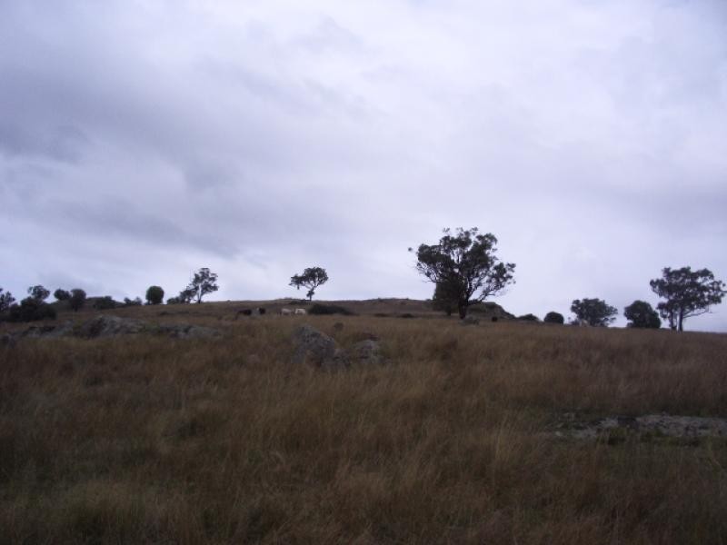 - Grabine Road, Bigga NSW 2583
