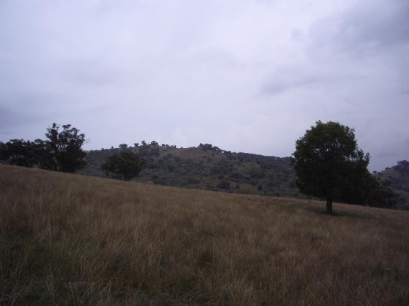 - Grabine Road, Bigga NSW 2583