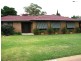 8 Japonica, Narrandera NSW 2700