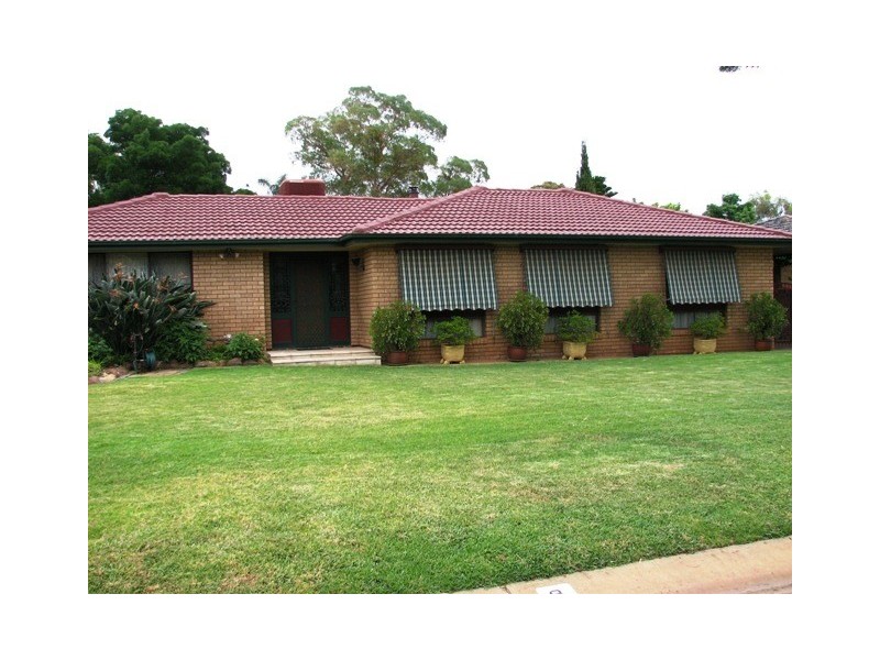 8 Japonica, Narrandera NSW 2700