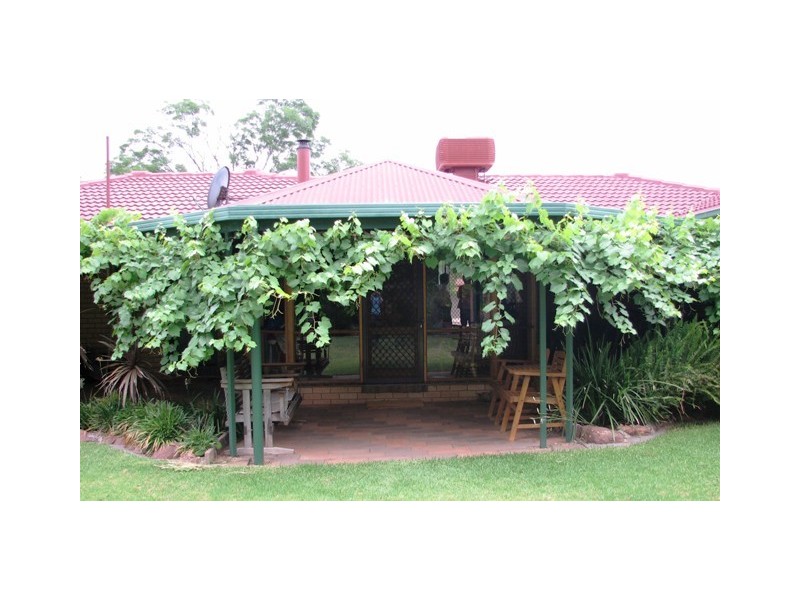 8 Japonica, Narrandera NSW 2700