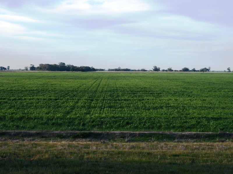Yarrimbah Newell Highway, Jerilderie NSW 2716