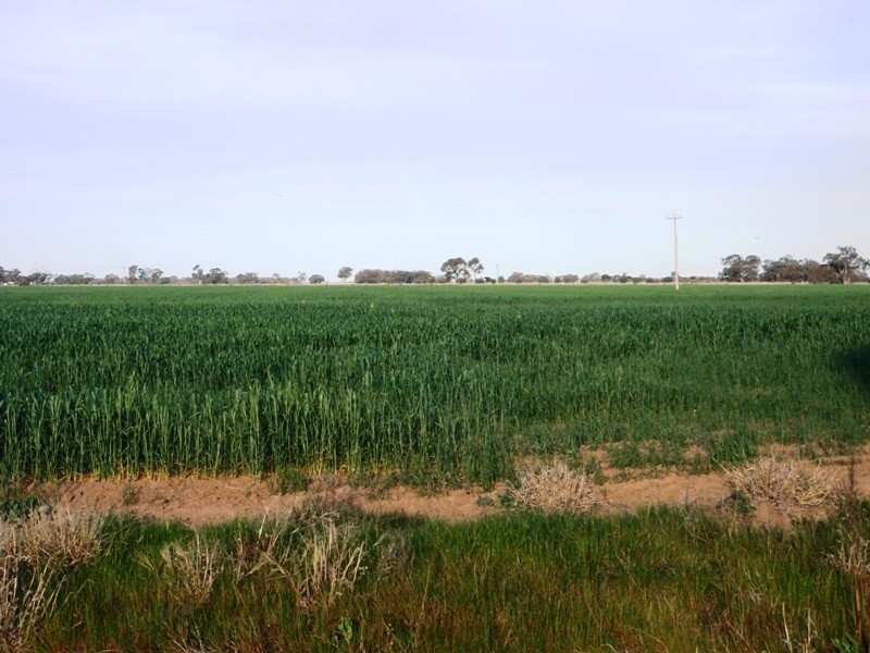 Yarrimbah Newell Highway, Jerilderie NSW 2716