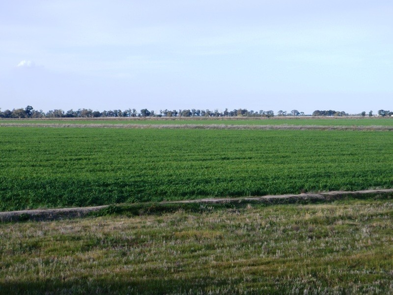 Yarrimbah Newell Highway, Jerilderie NSW 2716