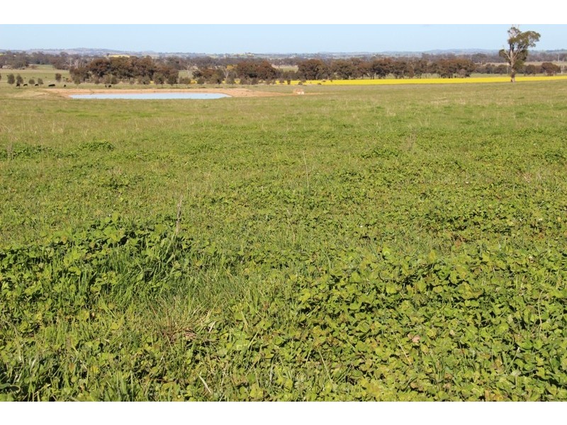 Resson Wagga Wagga-Holbrook Road, Wagga Wagga NSW 2650