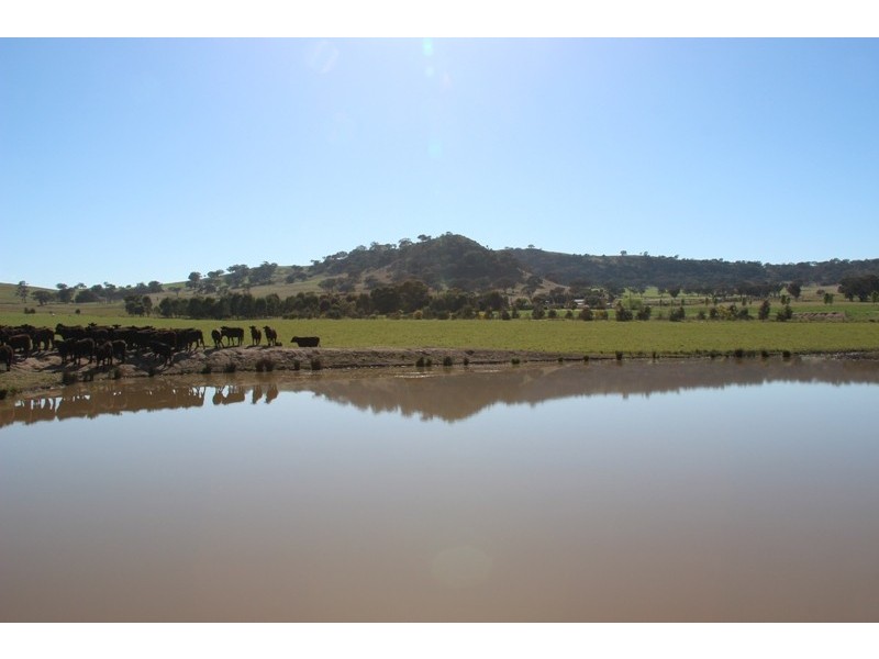 Resson Wagga Wagga-Holbrook Road, Wagga Wagga NSW 2650