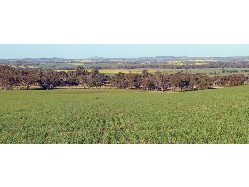 Resson Wagga Wagga-Holbrook Road, Wagga Wagga NSW 2650
