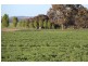 Resson Wagga Wagga-Holbrook Road, Wagga Wagga NSW 2650