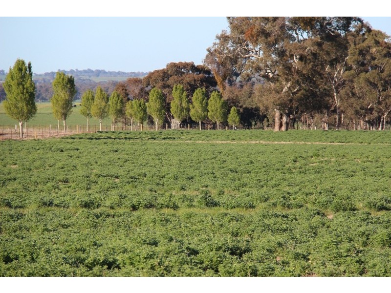Resson Wagga Wagga-Holbrook Road, Wagga Wagga NSW 2650