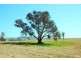 826 Hughstonia Road, Boorowa NSW 2586