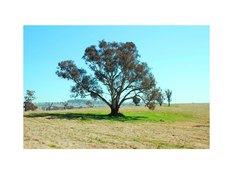 826 Hughstonia Road, Boorowa NSW 2586