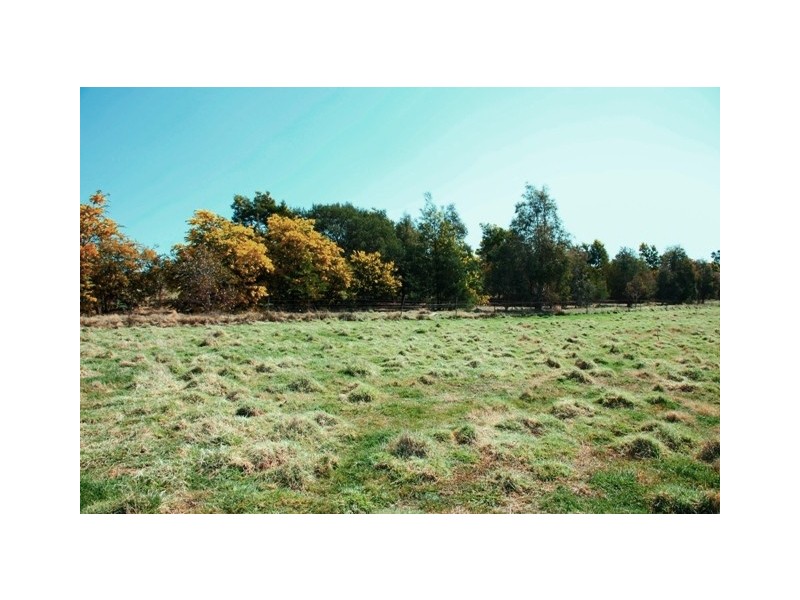 826 Hughstonia Road, Boorowa NSW 2586