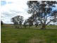 826 Hughstonia Road, Boorowa NSW 2586