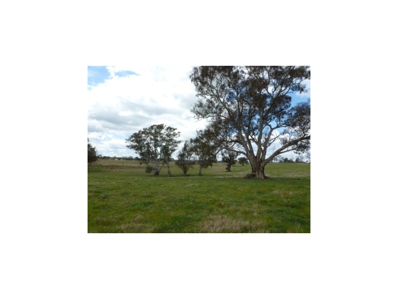 826 Hughstonia Road, Boorowa NSW 2586