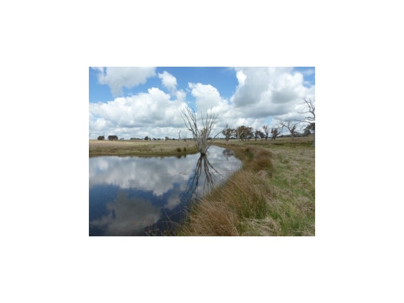 826 Hughstonia Road, Boorowa NSW 2586