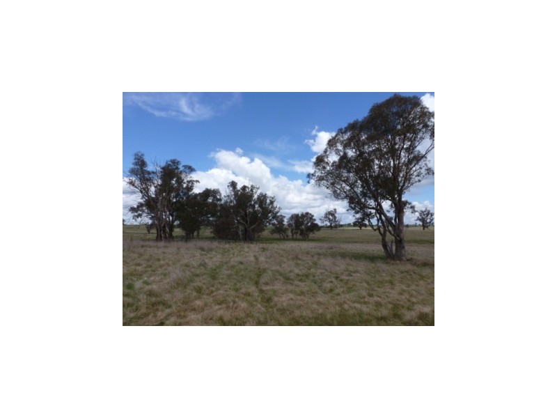 826 Hughstonia Road, Boorowa NSW 2586