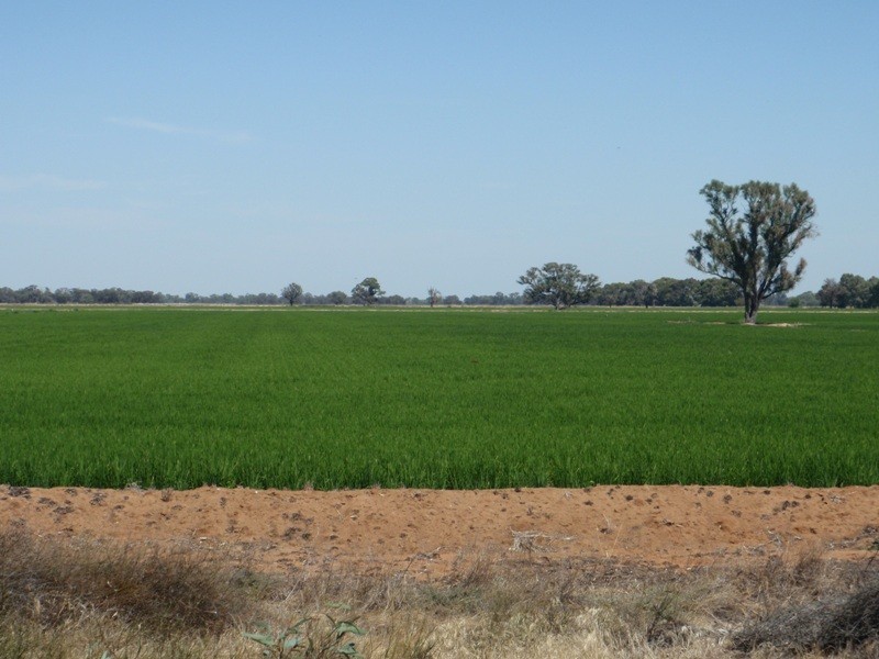 Deniliquin NSW 2710