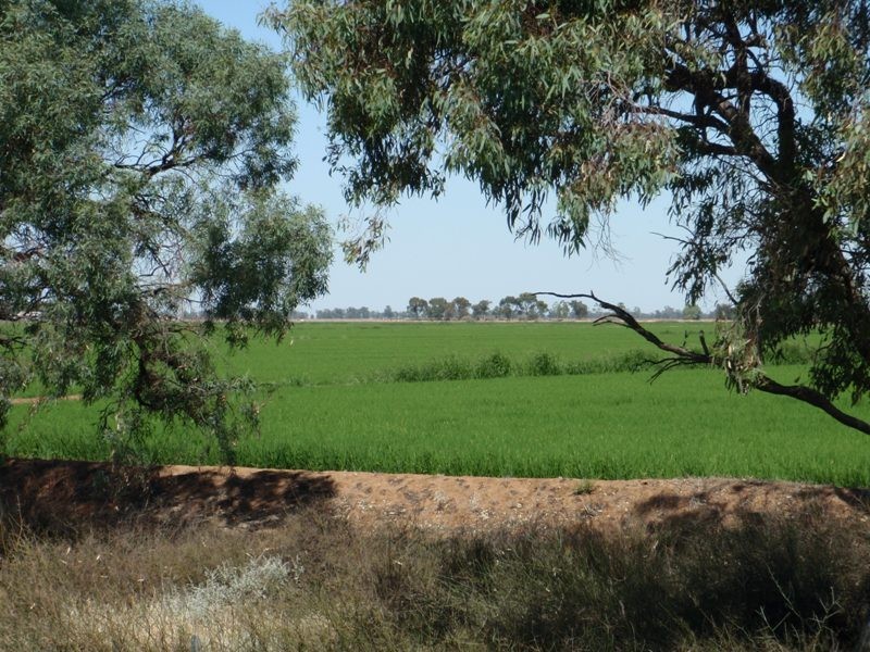Deniliquin NSW 2710