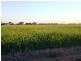 Finley NSW 2713