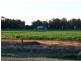 Finley NSW 2713