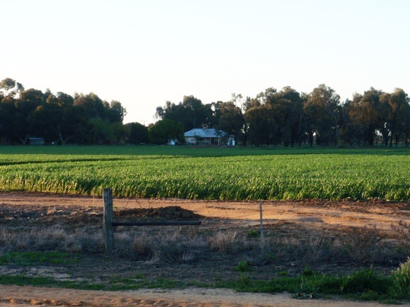 Finley NSW 2713