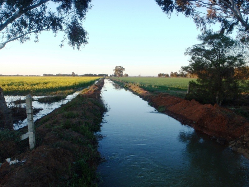 Finley NSW 2713