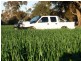 Finley NSW 2713