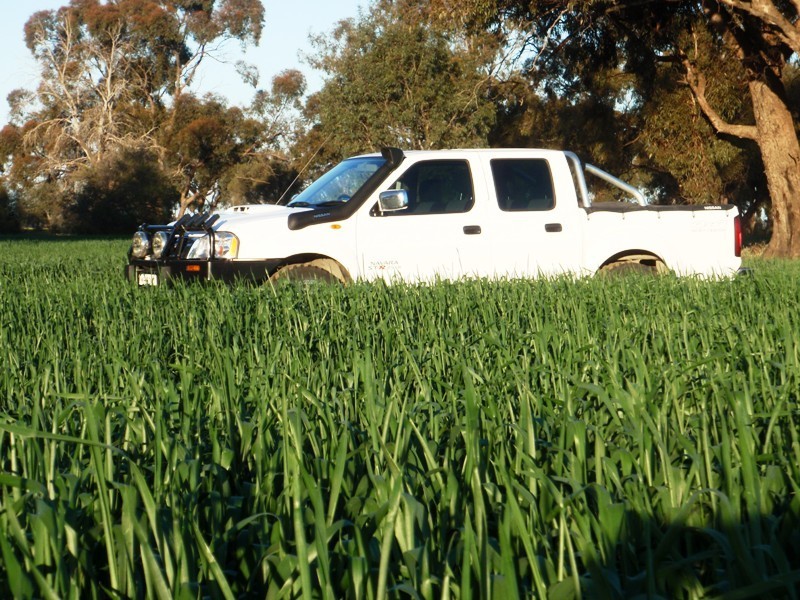 Finley NSW 2713