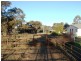 Finley NSW 2713