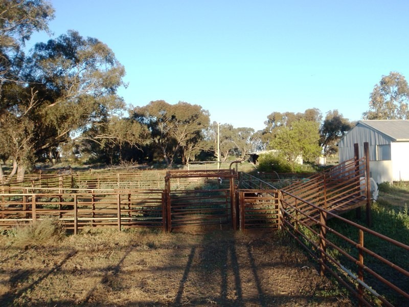 Finley NSW 2713