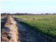 Finley NSW 2713