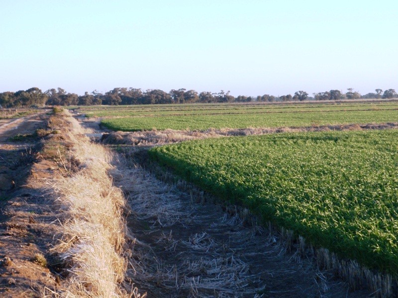 Finley NSW 2713