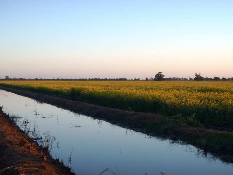 Finley NSW 2713