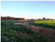 Finley NSW 2713