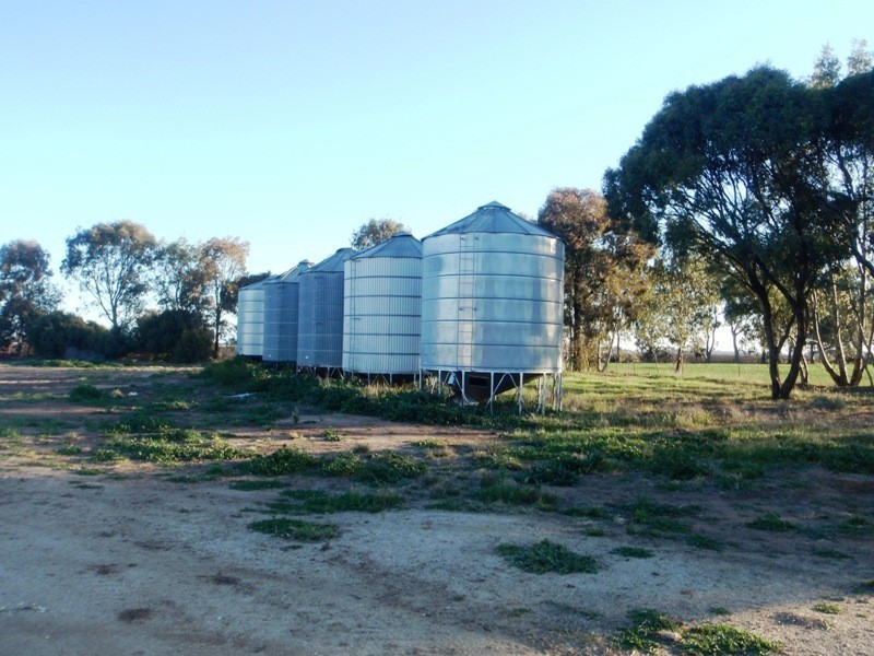 Finley NSW 2713