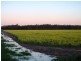 Finley NSW 2713