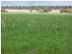Goolgowi NSW 2652