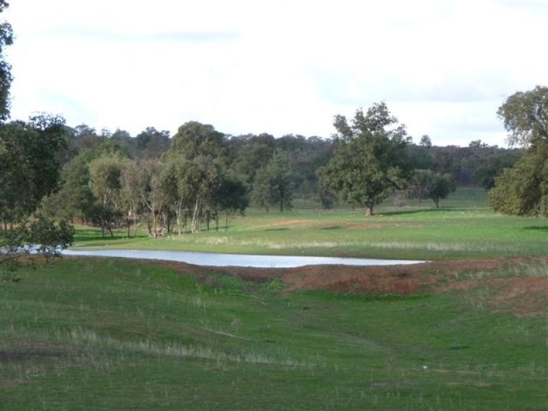 Goolgowi NSW 2652