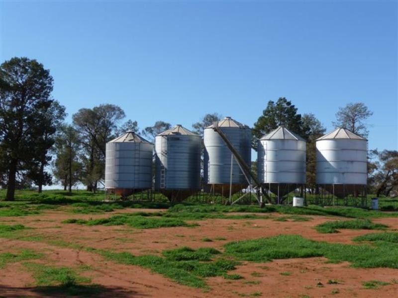 Goolgowi NSW 2652