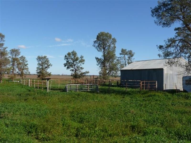 Goolgowi NSW 2652