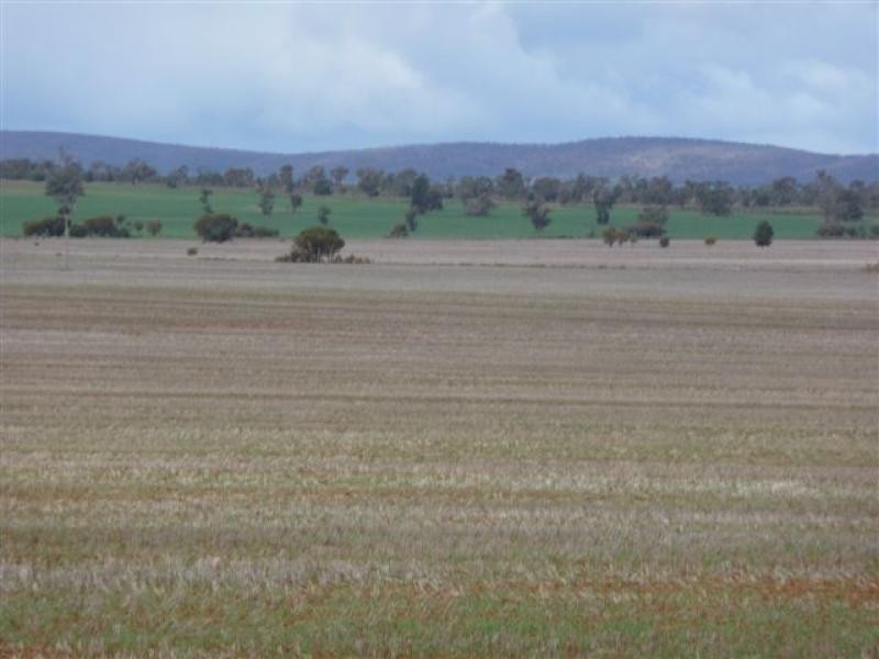 Goolgowi NSW 2652