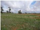 Goolgowi NSW 2652