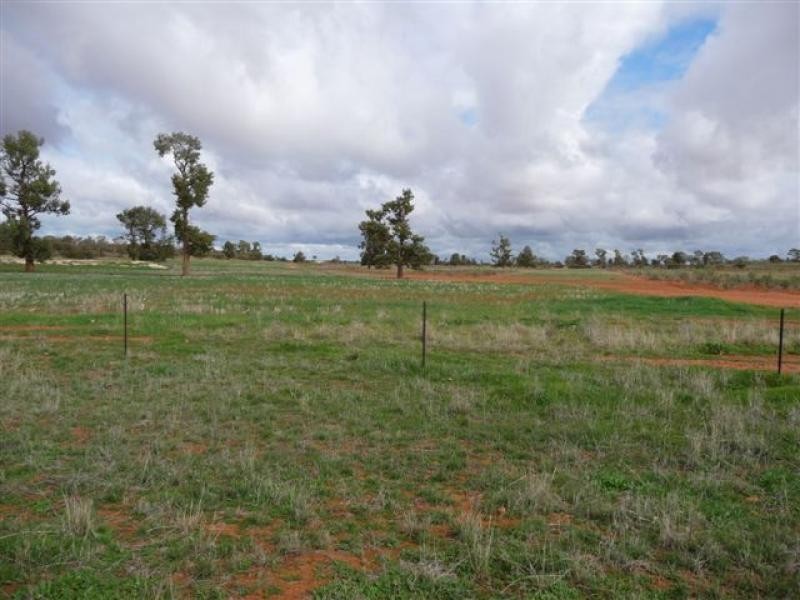 Goolgowi NSW 2652
