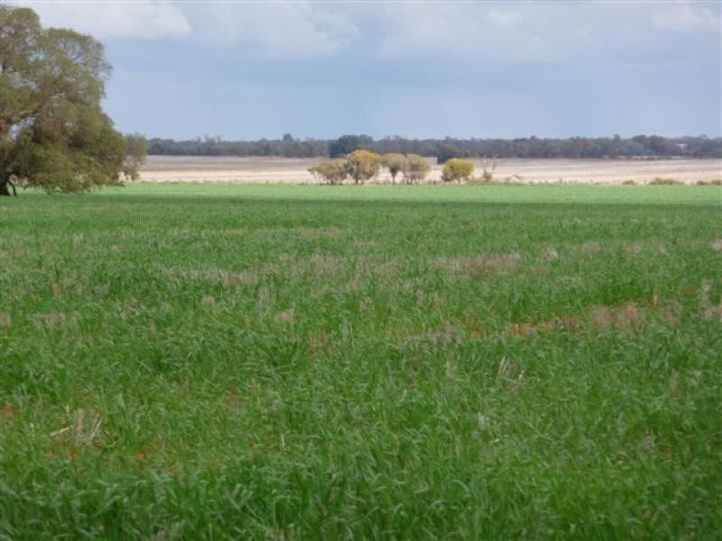 Goolgowi NSW 2652